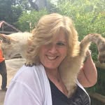 Flo Graham - @11housecats - Instagram