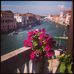 Flora Harding - Facebook