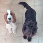 Flo & Henry - @floandhenrysadventures - Instagram
