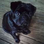 Flo Henry - @florahenry45 - Instagram