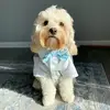 floofhenry - @floofhenry - TikTok