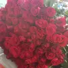 Henry flo - @henry.flo2 - TikTok
