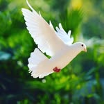 flora_ - @flo_jones_ - Instagram
