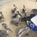 Francisco Flores Martin - @flomack_ - Instagram