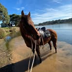 Florence Patterson - Facebook
