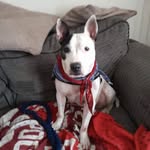 Flo Smith - @flosmith963 - Instagram