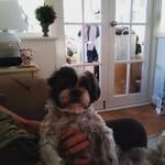 flo smith - @flo_smith_1959 - Instagram