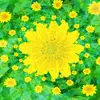 Flo Smith - @flo080861 - TikTok