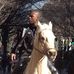 FLO-Beloved Horse of Curtis Thompson - Facebook