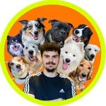 Flo - Meilleur Dog Walker de 🇫🇷 - @flo_ze_dog - Instagram