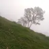 Flor Abad - @flor.abad78 - TikTok