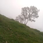 Flor Abad - Facebook