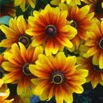 Flor Angulo Angulo - @flor_angulo_angulo - Instagram