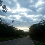 Flor Arbelaez - Facebook