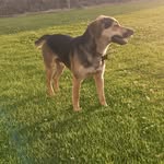 Flor Alba Avellaneda - @flor_avellaneda1 - Instagram