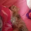 user4732370401953 - @flor_arayabarraza - TikTok