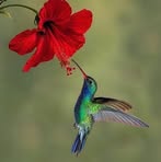 Flor Barrera - Facebook