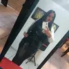 Flor Barrera - @flor.barrera197 - TikTok