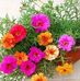 Flor Bautista - Facebook