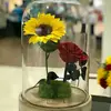 Flor Carbajal - @florcarbajal33 - TikTok