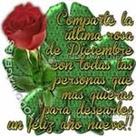 Flor Guardado - @guardadoflor - Instagram