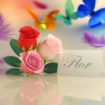 Flor Guardado - @flor.guardado.792 - Instagram