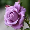 Flor Herrera833 - @florherrera833 - TikTok