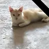 flor infante - @flor.infante8 - TikTok