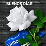 Flor Marquez - Facebook