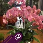 Flor Mateo - Facebook