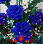 Flor Mateo - Facebook