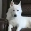Flor Medrano - @flormedrano18 - TikTok