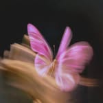 Flor Medrano - @flormedran0 - Instagram