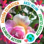 Flor Medrano - Facebook