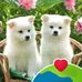 Flor Mejia - Facebook