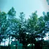 Flor Pere Negron Alv - @florperenegronalv77 - TikTok