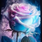 Flor Pichardo - Facebook