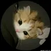 paula oficial - @florpichardo839 - TikTok
