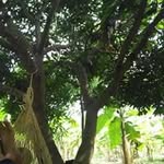 Flor Puerta Arenas - @flor_puerta - Instagram