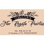 Flor Regalo Puertas Floristas - @florregalopuertas - Instagram