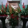 Flor Rivas - @flor.rivas55 - TikTok