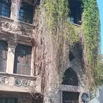 flor de roca - @d0n4_m4ndr4g0r4_ - Instagram