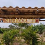 Sitio Flor de Maria vida na roça - @flordemaria_vidanaroca - Instagram