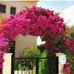 Flor rocha - Facebook