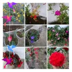 Flor Rogel - Facebook