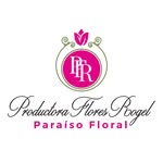 PRODUCTORA FLORES ROGEL - @productorafloresrogel - Instagram