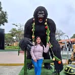 Flor Rojo - Facebook
