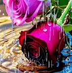 Flor Roman - Facebook