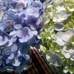 Flor Ronquillo - Facebook
