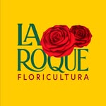 Floricultura La Roque 24hrs - @floriculturalaroqueoficial - Instagram
